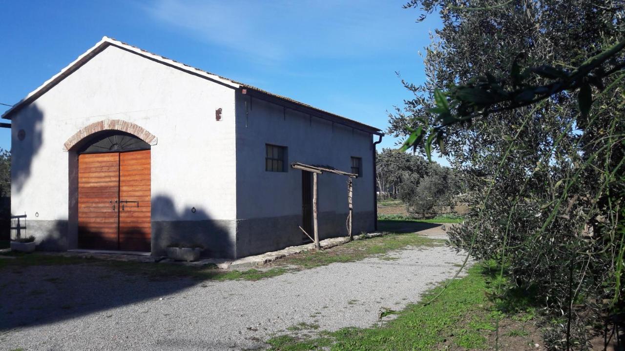 Agriturismo Monte Alzato Capalbio Eksteriør billede
