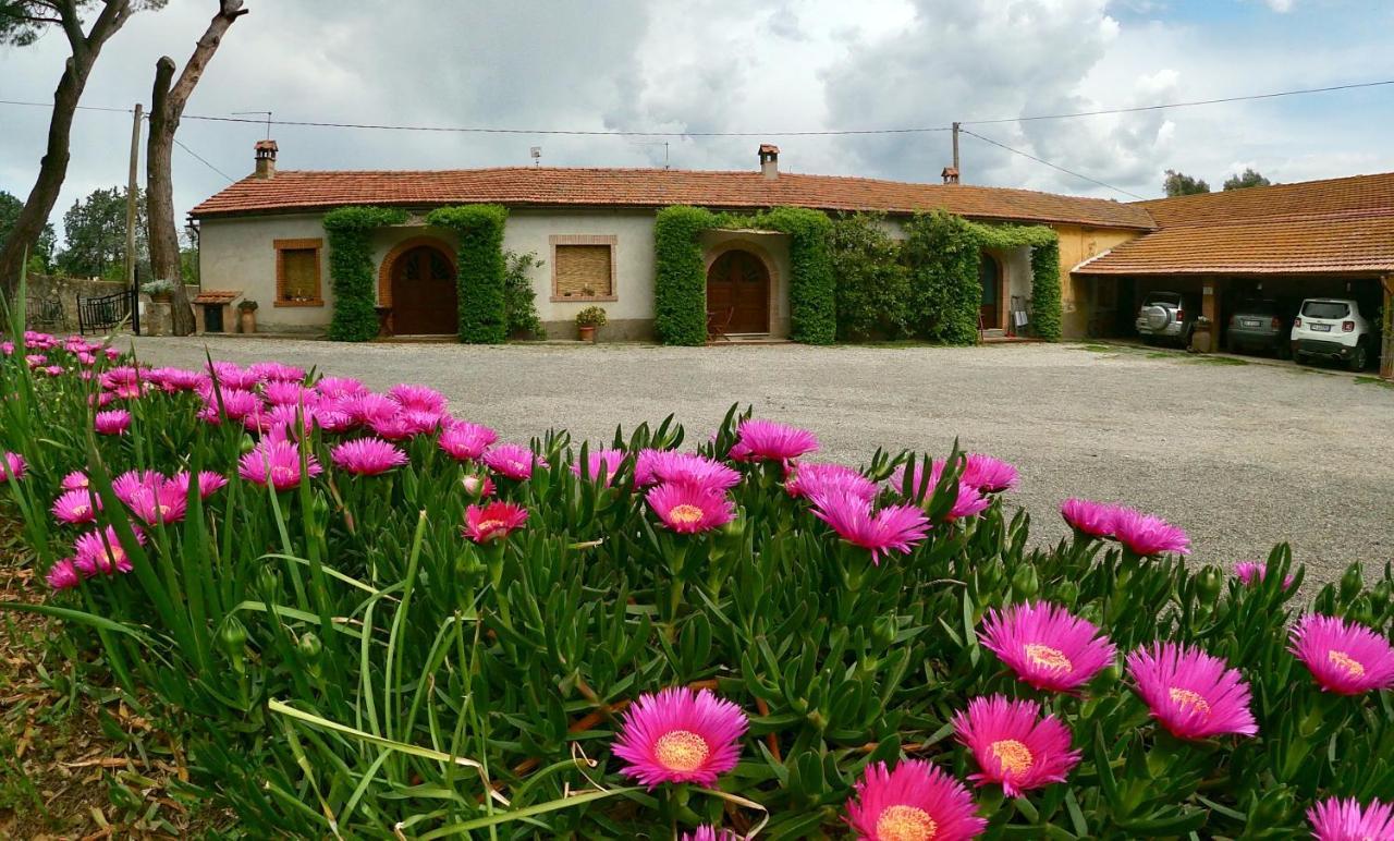 Agriturismo Monte Alzato Capalbio Eksteriør billede