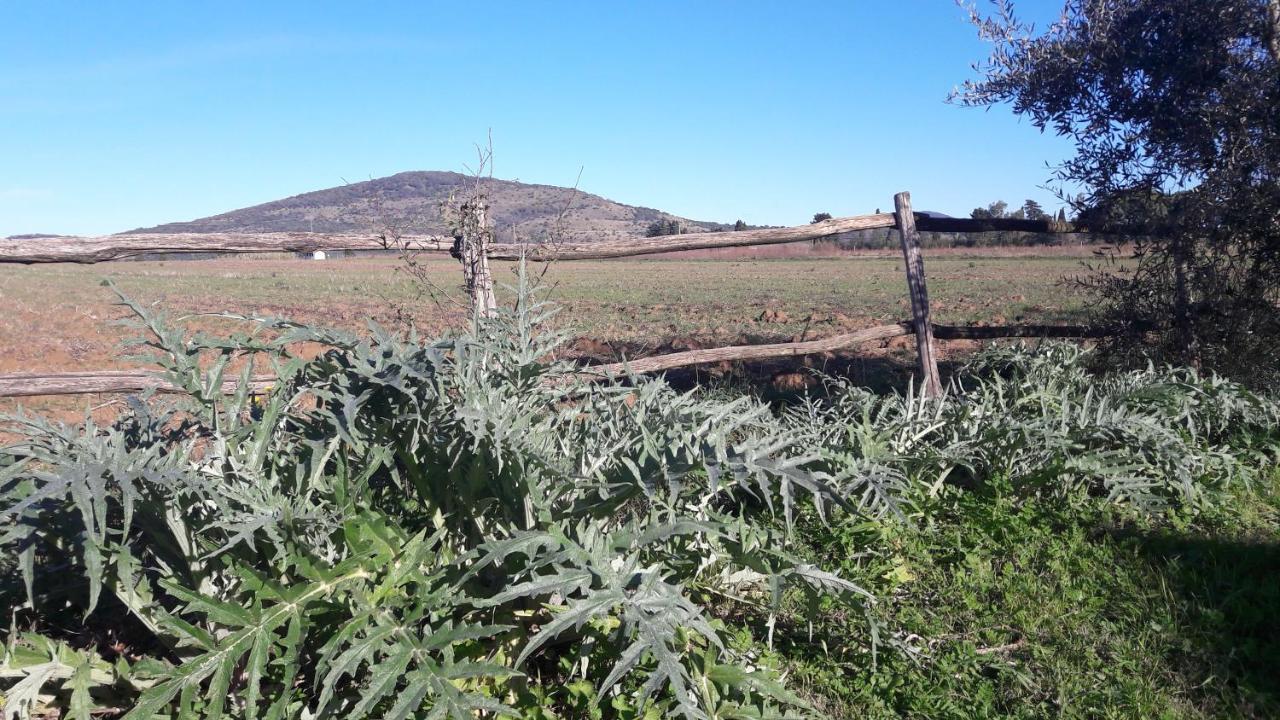 Agriturismo Monte Alzato Capalbio Eksteriør billede