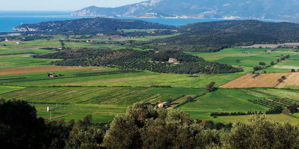 Agriturismo Monte Alzato Capalbio Eksteriør billede