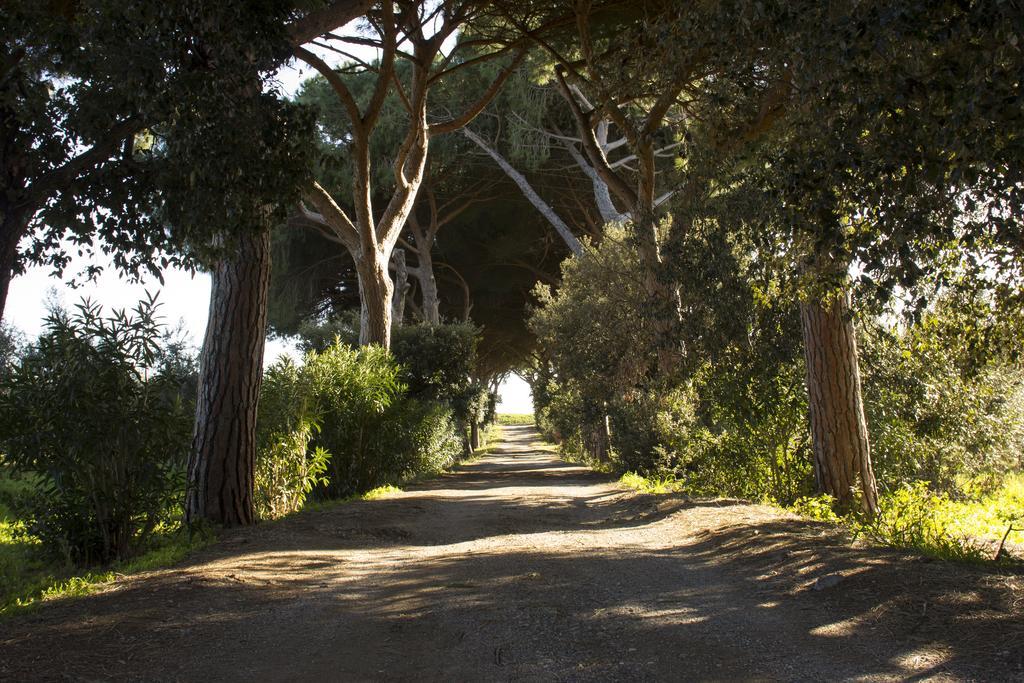Agriturismo Monte Alzato Capalbio Eksteriør billede